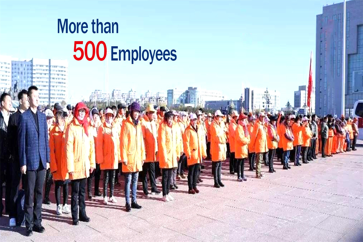 500 员工